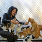 Durable catio fencing material for high rise balconies
