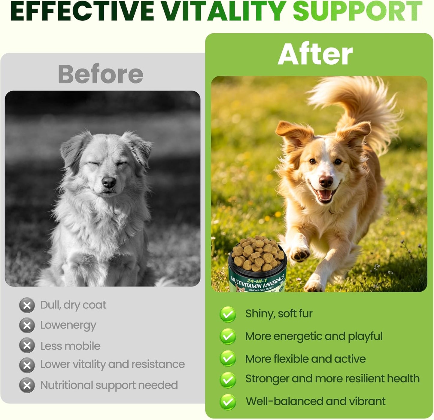 Eiza 90 count soft chews multivitamin container for all dog breeds