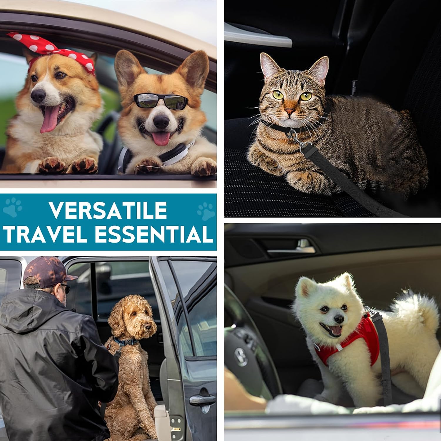 Adjustable nylon dog leash for vehicle safety and driving
