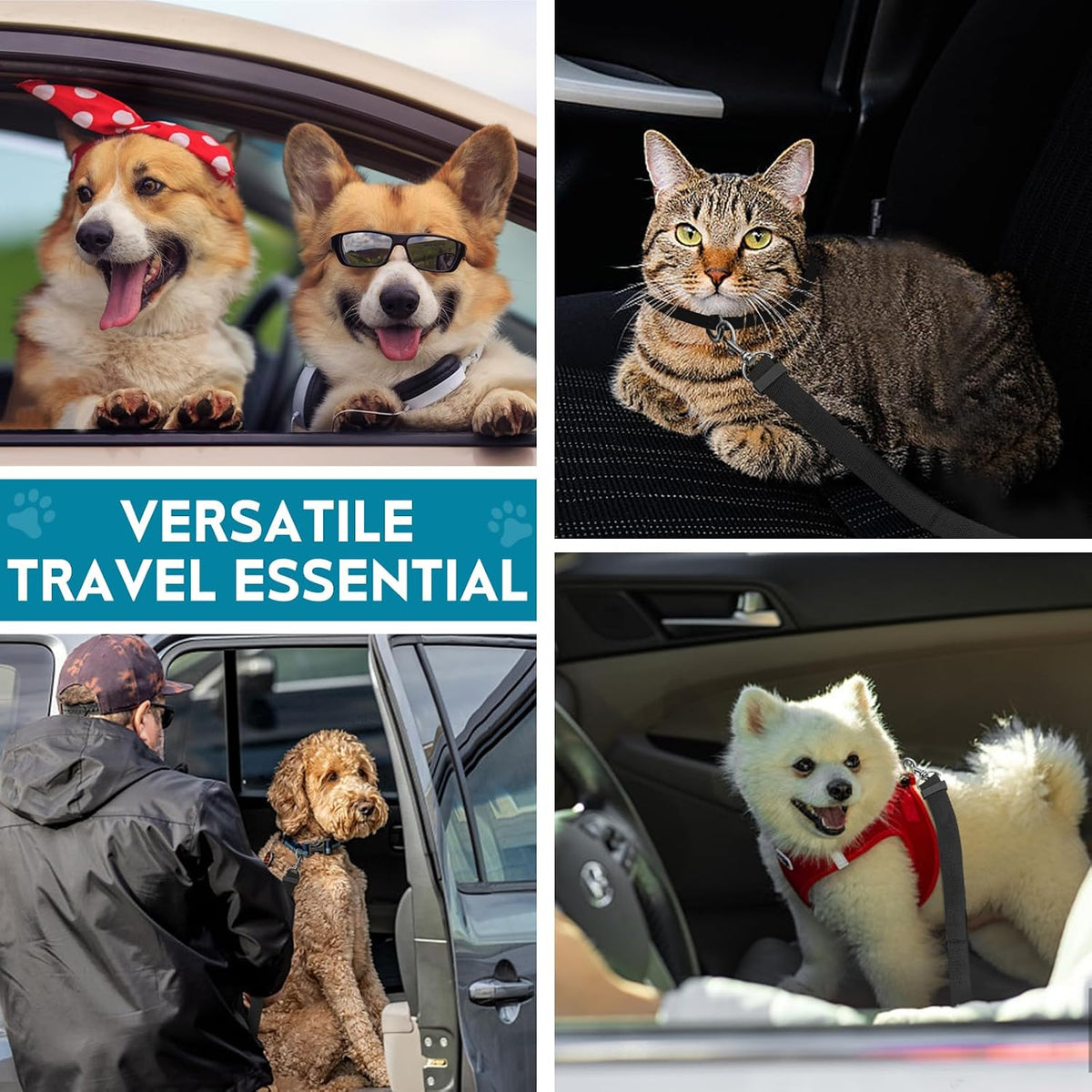 Adjustable nylon dog leash for vehicle safety and driving