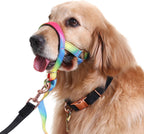 Barkless rainbow dog head collar front view for medium dogs