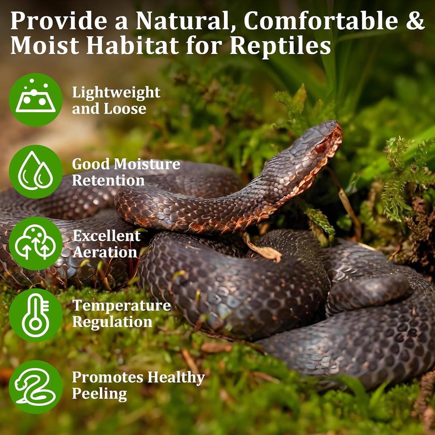 Legigo compressed forest moss brick for terrarium humidity control