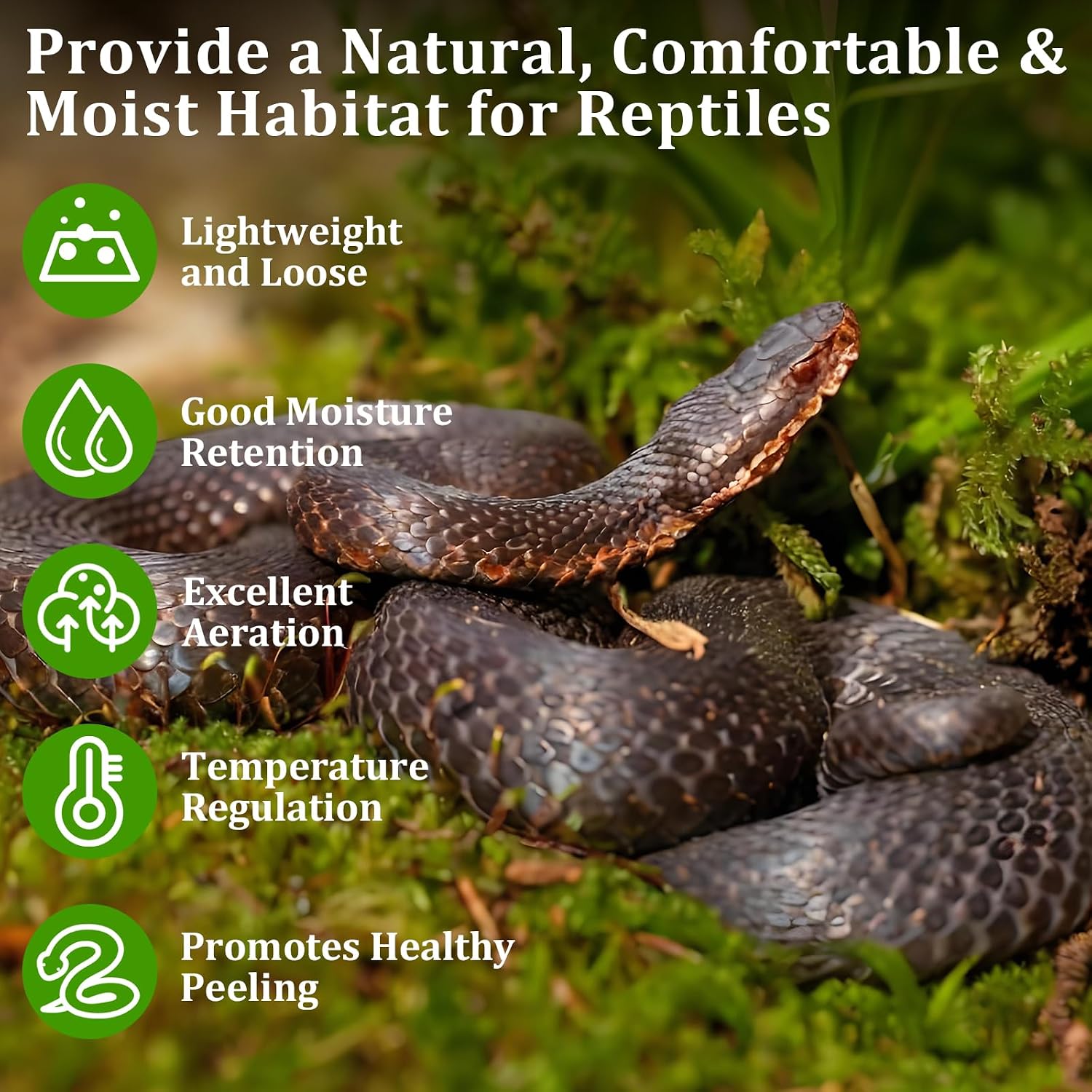 Legigo compressed forest moss brick for terrarium humidity control