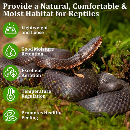Legigo compressed forest moss brick for terrarium humidity control