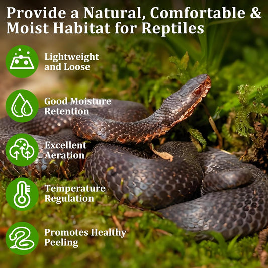 Legigo compressed forest moss brick for terrarium humidity control