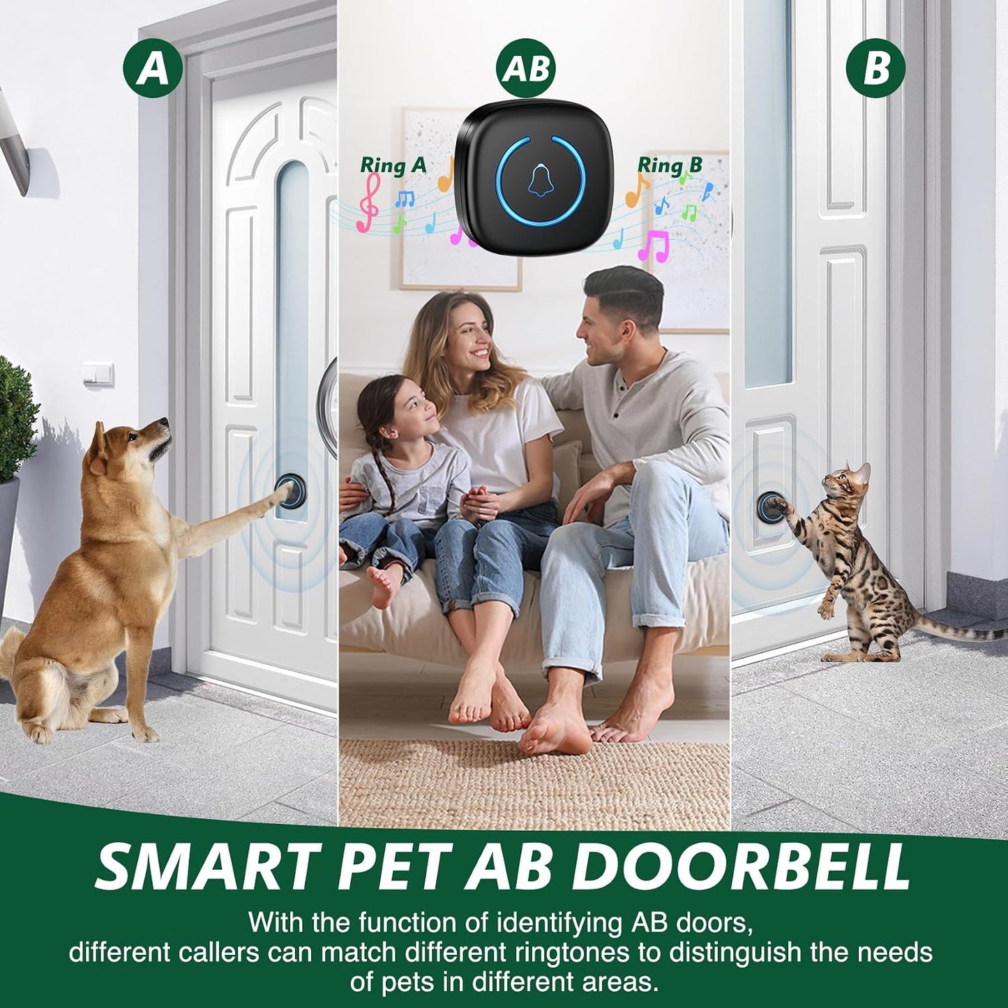 Dog Door Bell for Potty Training, Smart Wireless Doggie Doorbell to Go Outside, 1000 Feet Long Range with IP65 Waterproof Super-Light Touch Button, 60 Melodies & Adjustable Volume (2 Button) - Image 4