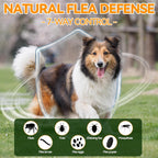 Carmelie oral flea supplement container back label showing weight dosage guidelines and ingredients list