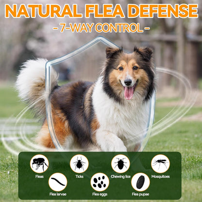 Carmelie oral flea supplement container back label showing weight dosage guidelines and ingredients list