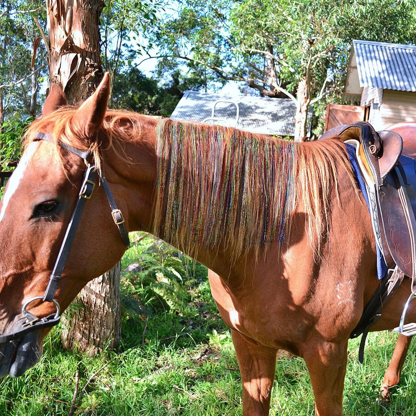 Equestrian braiding kit laid out showing 10-piece collection