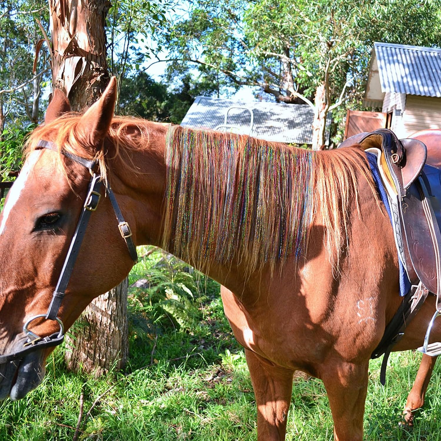 Equestrian braiding kit laid out showing 10-piece collection