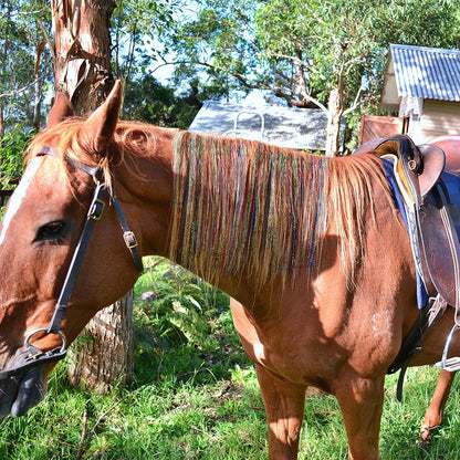 Equestrian braiding kit laid out showing 10-piece collection