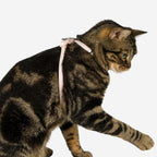 Blush Pink escape resistant kitten walking harness back view