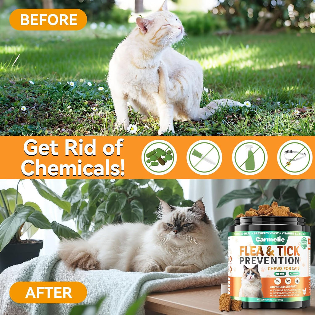 USA imported premium cat flea remedy jar displaying product benefits