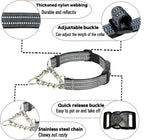 PUROAYET adjustable walking training collar quick release buckle
