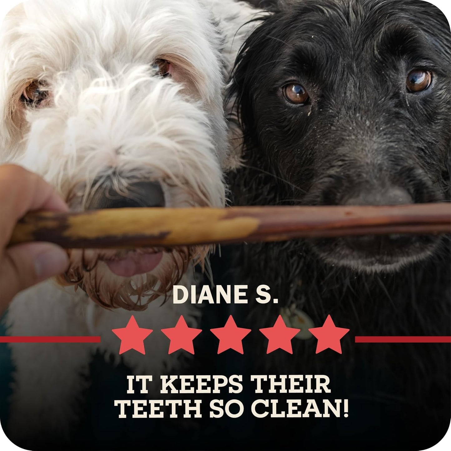 Redbarn Pet Products All-Natural 4" Bully Stick Rings for Dogs - Premium Grain-Free & Rawhide-Free Single Ingredient Long Lasting Low Odor Dental Treat for Chewers - 3 Count - Image 11