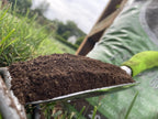 JavaEarth poultry bedding eco-friendly benefits graphic