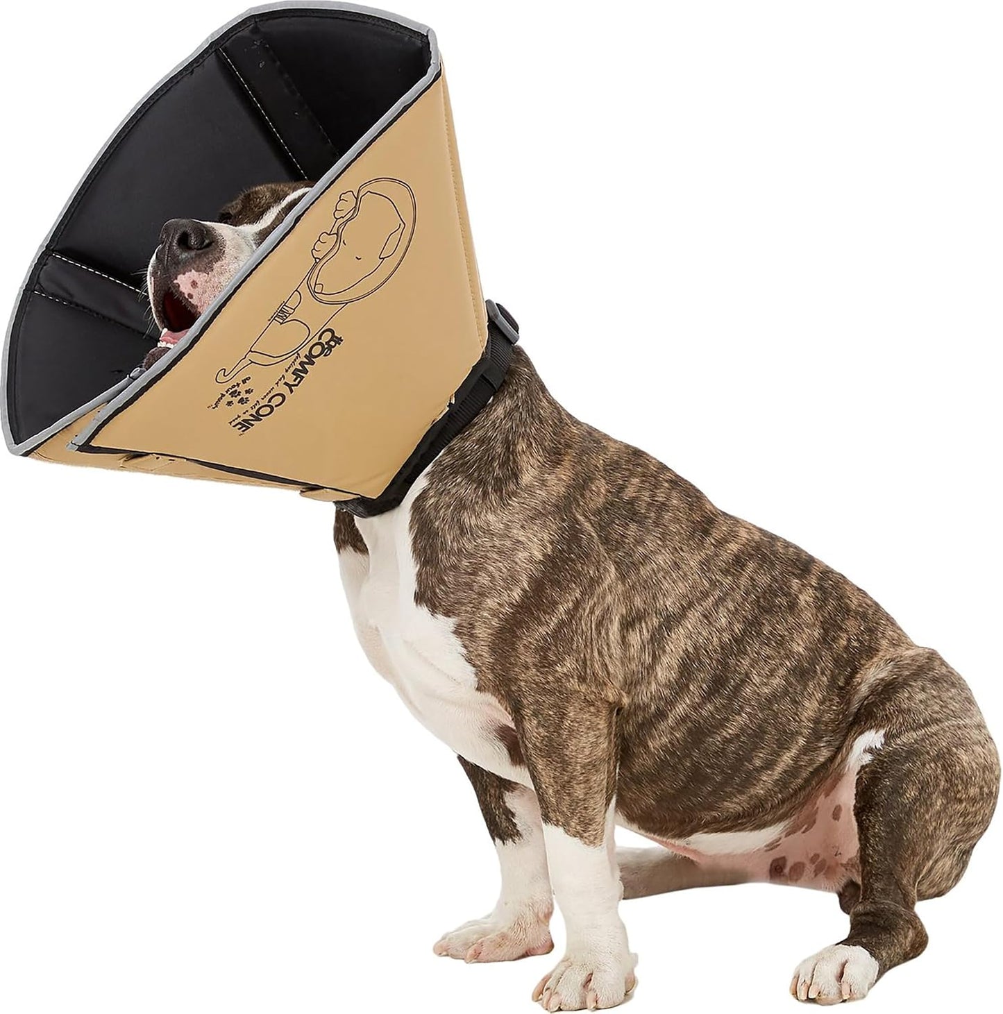 All Four Paws Comfy Cone Pet Cone for Dogs, Cats, Small-Long, Black - Comfortable Soft Dog Cone Collar Alternative for After Surgery, Wound Care, Spay, Neuter - Dog and Cat Recovery Collar - Image 14