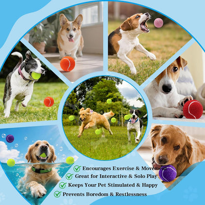 Multicolor pet playing balls for outdoor training