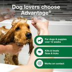 Advantage unscented dog shampoo for flea and tick contact elimination