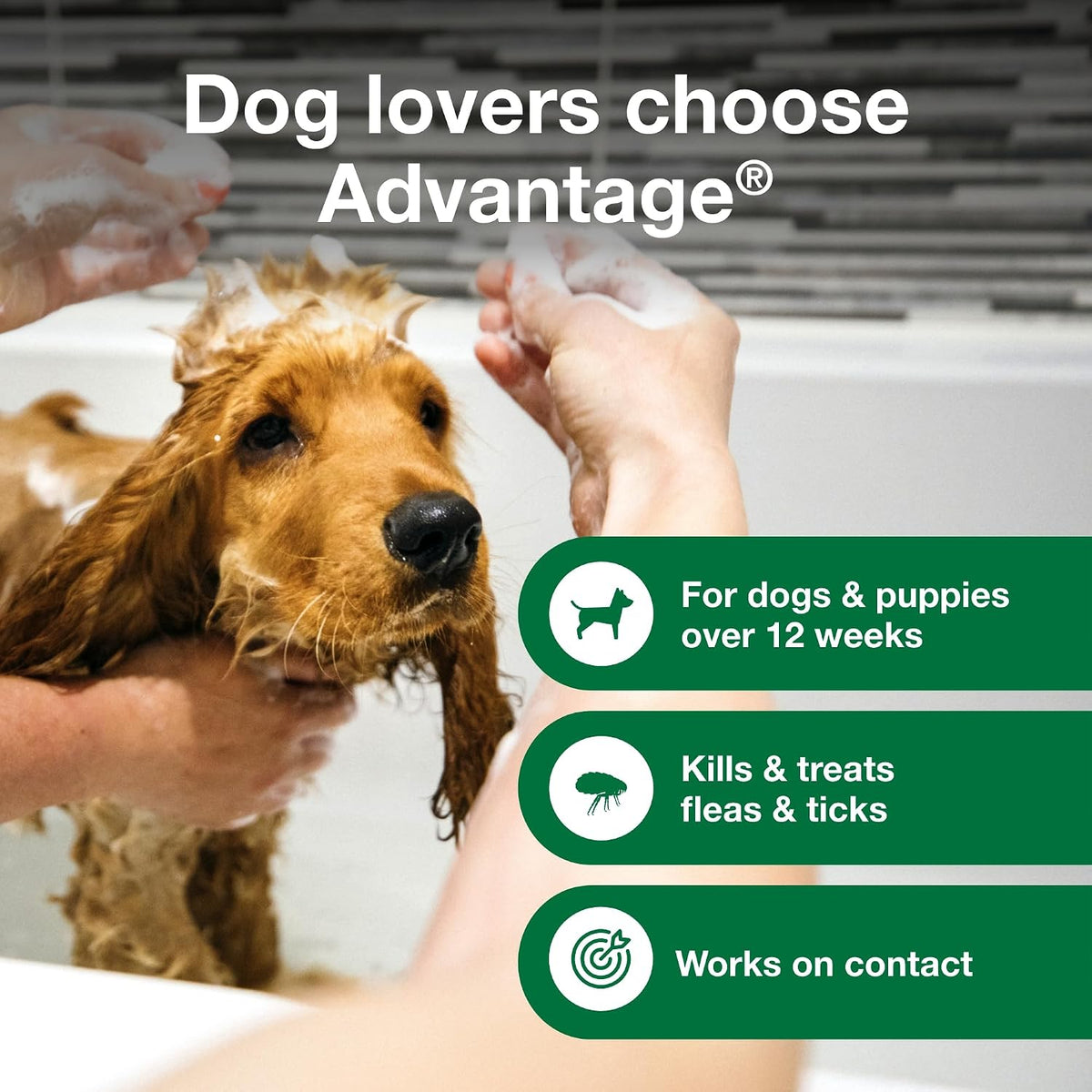 Advantage unscented dog shampoo for flea and tick contact elimination
