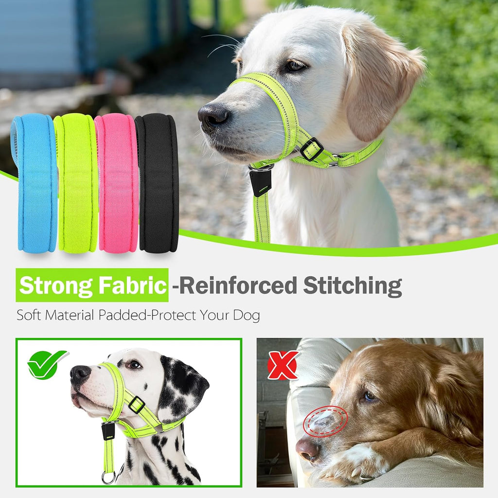 Weesiber training collar quick release neck buckle close up detail
