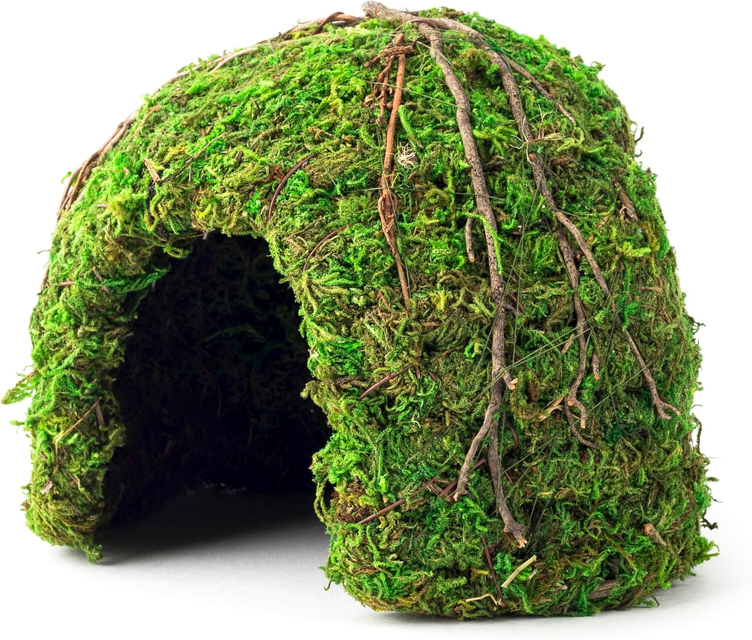 Galapagos Mossy Dome Hide front view corner terrarium shelter
