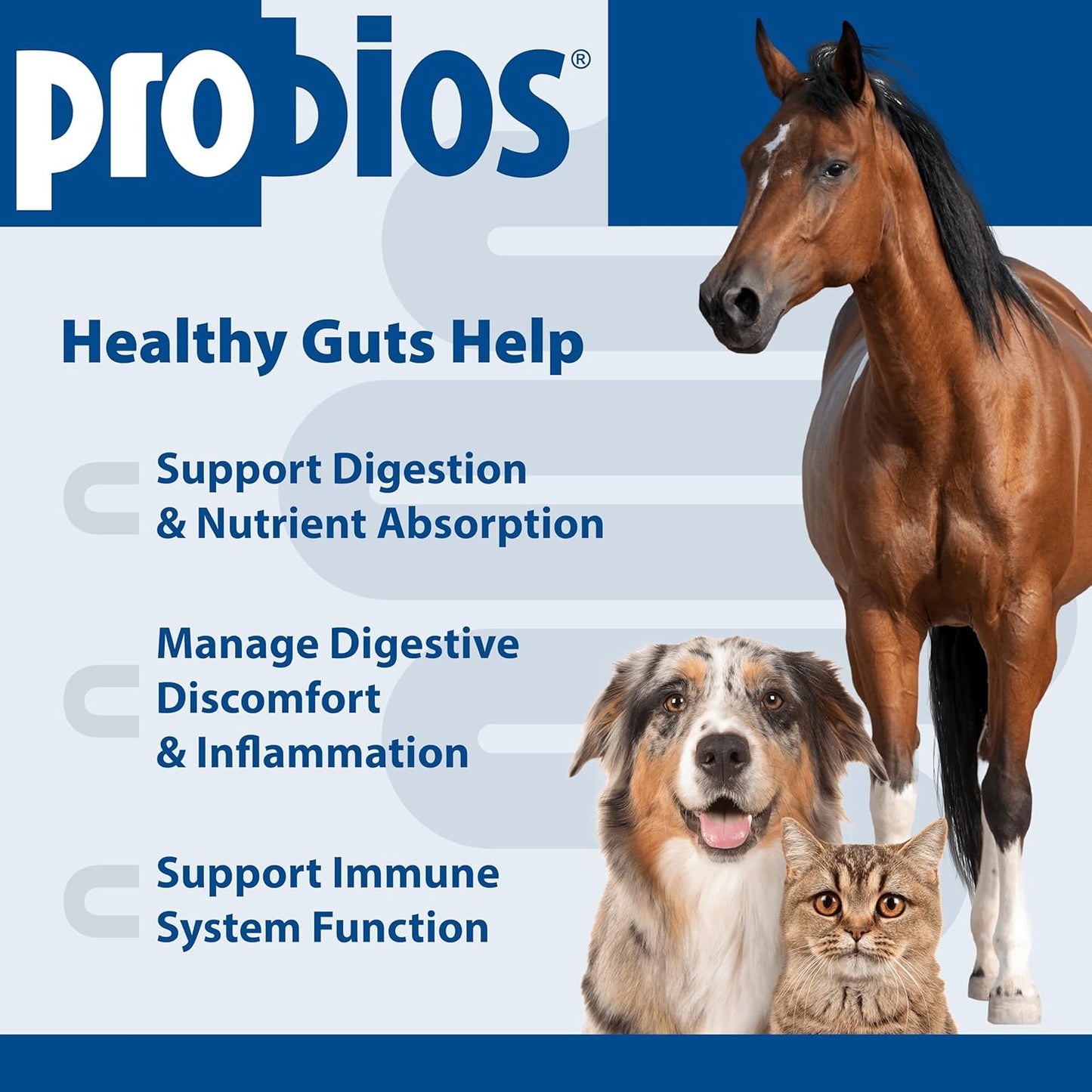 Label detail of Probios gut health supplement for pets and livestock