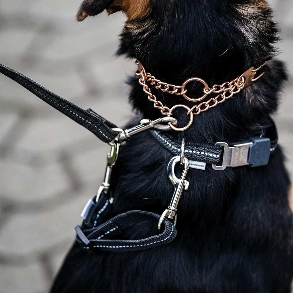 Adjustable reflective safety clip for dog training collars