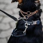 Adjustable reflective safety clip for dog training collars