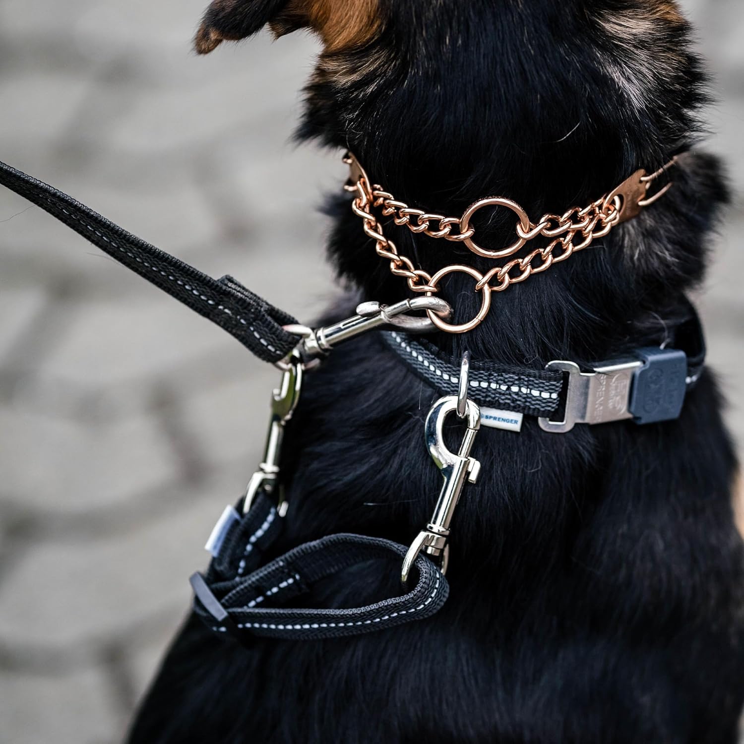 Adjustable reflective safety clip for dog training collars
