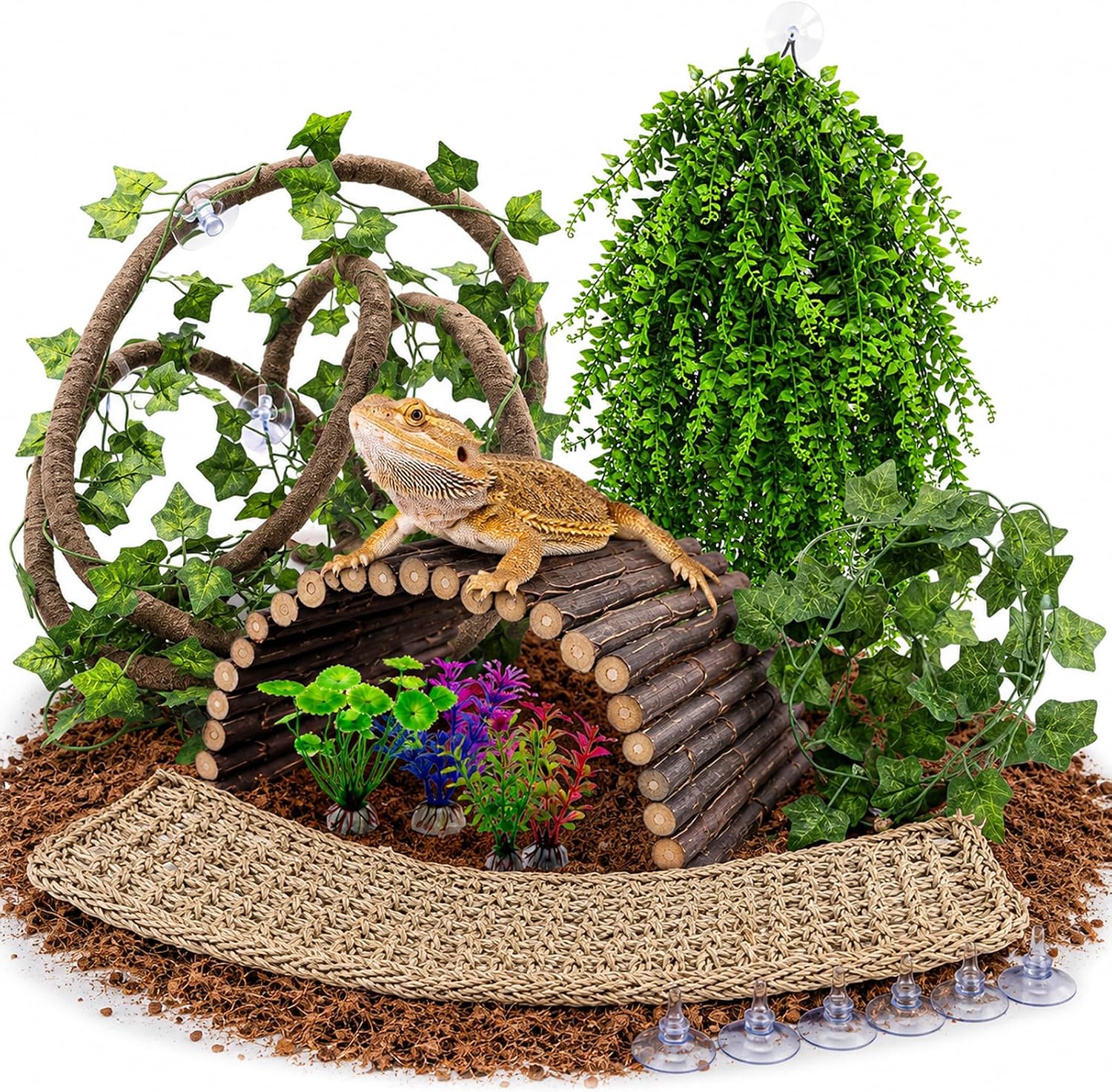 Hercocci 9-piece reptile habitat decor set in a terrarium