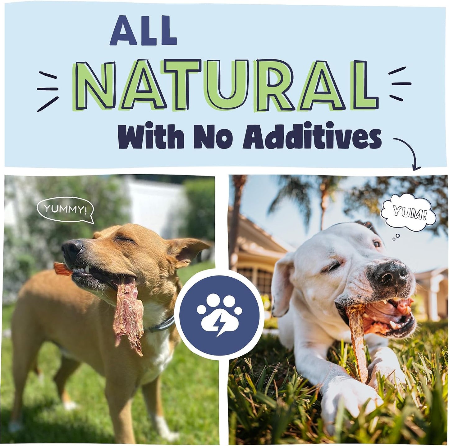 Natural grain free beef jerky treats for large dogs