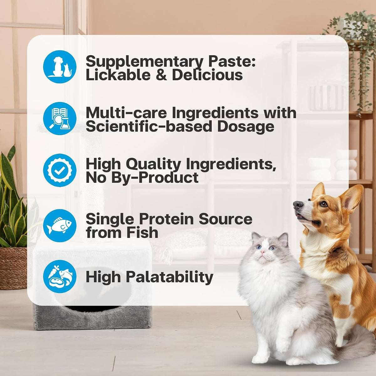 Squeezable kidney wellness gel for dogs and cats by VFCARE