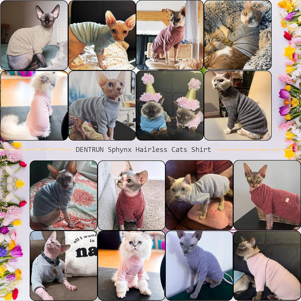Dentrun cat pajamas worn by a Devon Rex cat