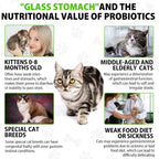 Authentic USA pet care liquid laxative for softening cat stool