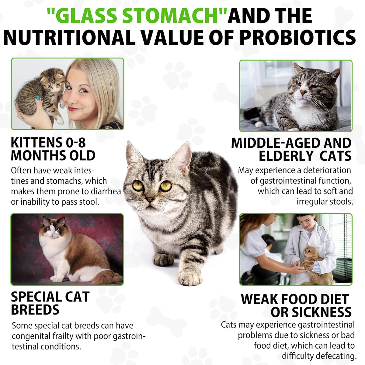 Authentic USA pet care liquid laxative for softening cat stool