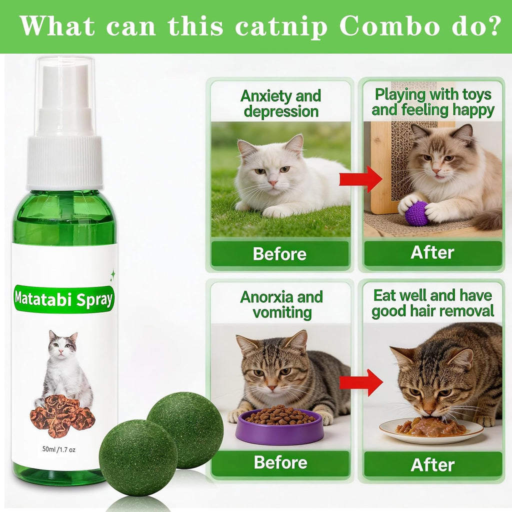Complete overview of the domestic pet wellness kit containing one spray bottle and two interactive herbal treats.