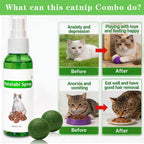 Complete overview of the domestic pet wellness kit containing one spray bottle and two interactive herbal treats.