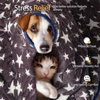 Reversible pet calming blanket with raised massage dots for sensory relaxation