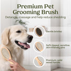 Pawfume Dog Gift Basket, 6-Piece Box - Give Your Pup a Spa-Quality Coat & Odor-Free Freshness - Probiotic Deodorizer Spray, Hypoallergenic Grooming Mist & Premium Brush - Dog Gift Boxes for All Breeds - Image 9
