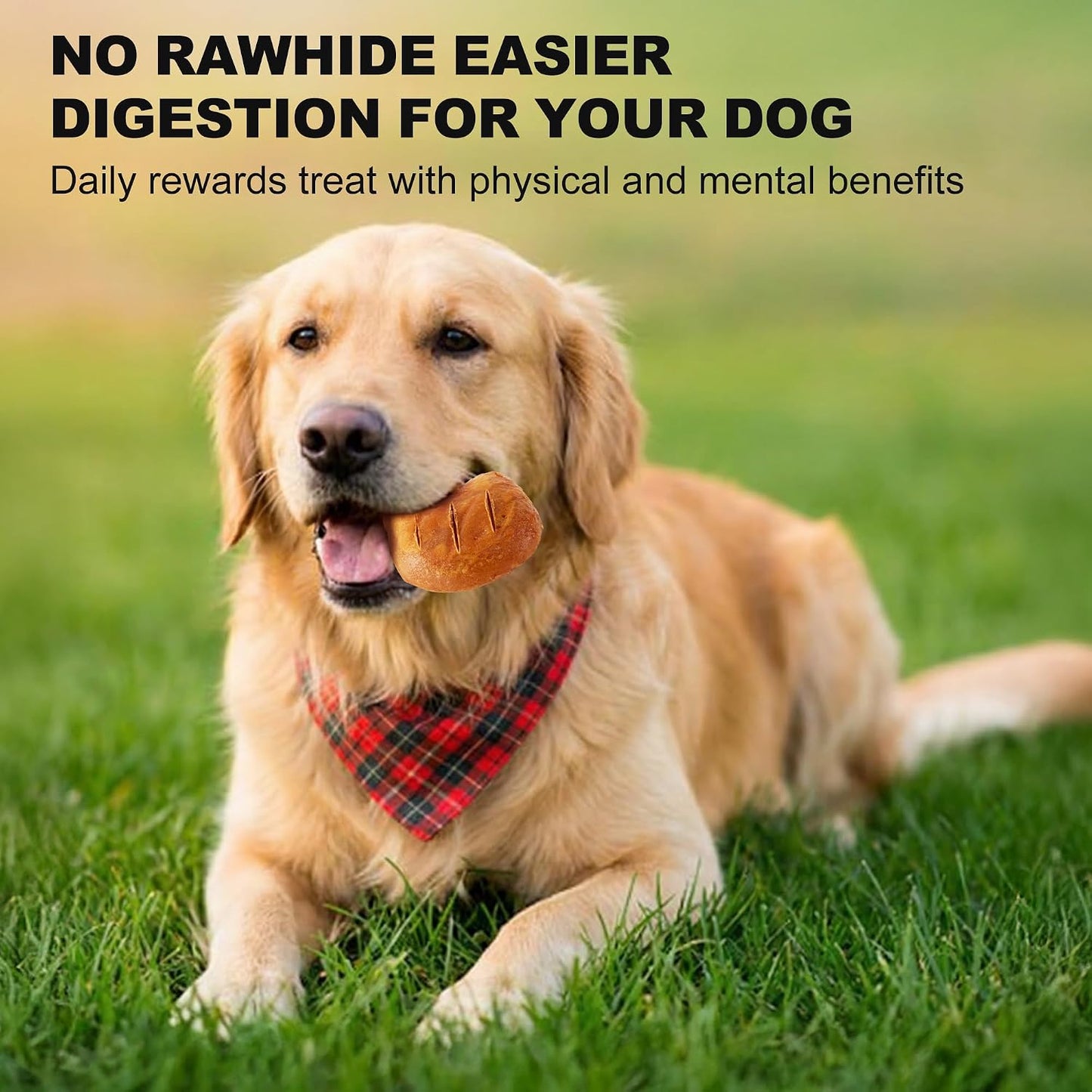 Natural smoky flavor digestible dog dental bones packaging back