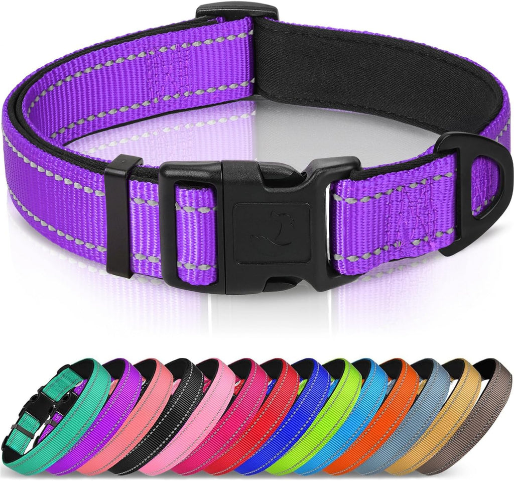 Side view of adjustable Joytale dog collar for large dogs