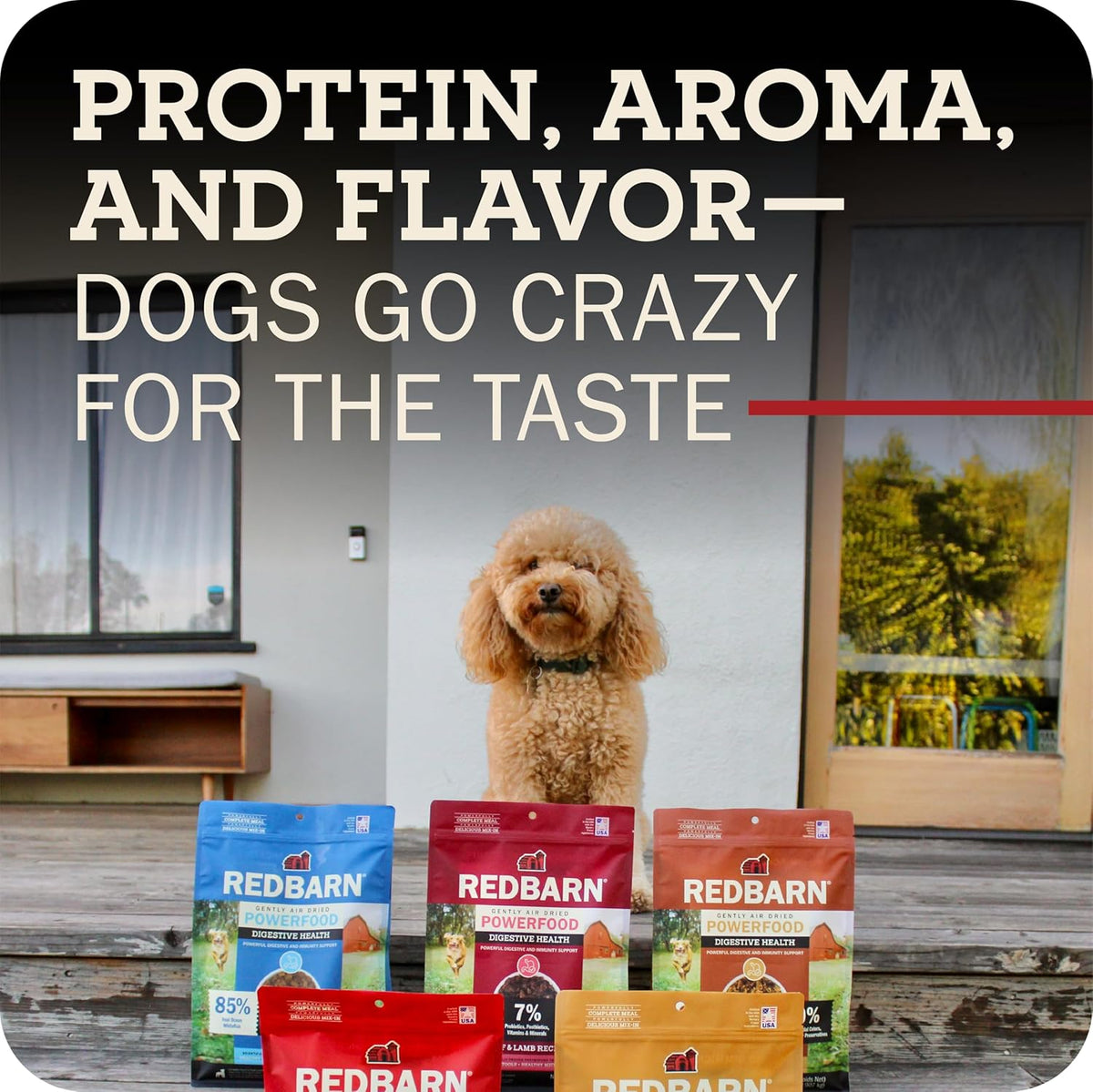 Authentic USA imported Redbarn air dried dog food beef recipe