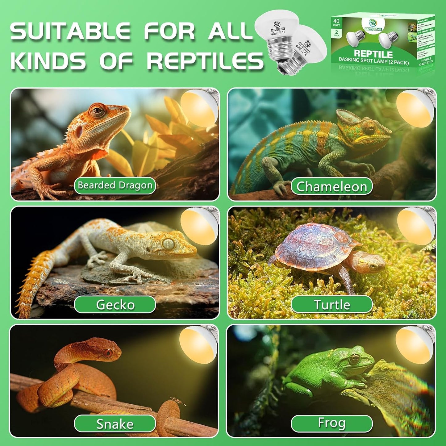 Two pack layout of Lucky Herp daylight basking light bulbs for lizards and turtles