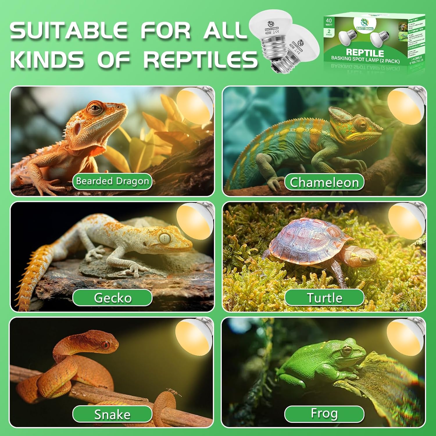 Two pack layout of Lucky Herp daylight basking light bulbs for lizards and turtles