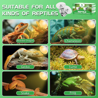 Two pack layout of Lucky Herp daylight basking light bulbs for lizards and turtles