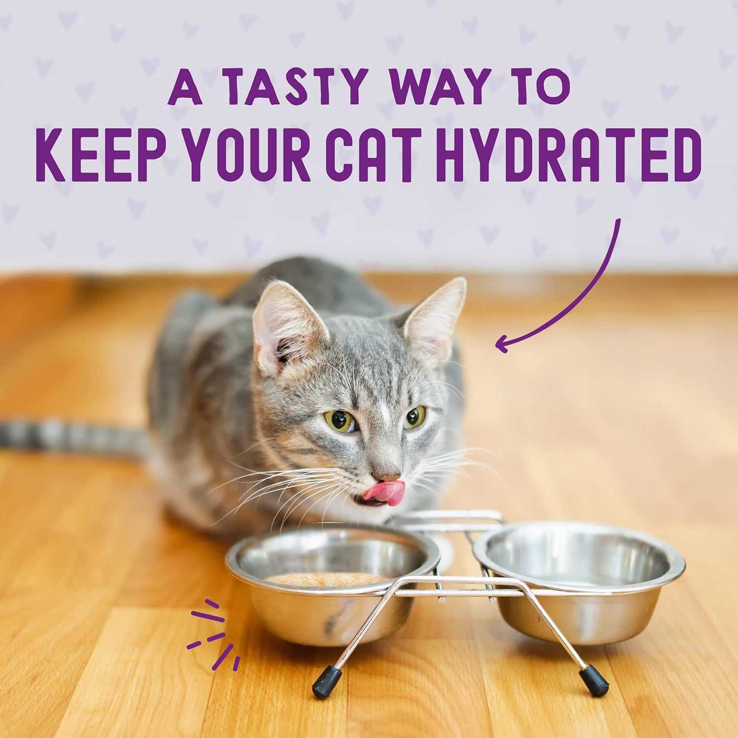 Stella & Chewy's Carnivore Cravings Wet Cat Food - Premium Pouches - Grain Free, High Protein Salmon, Tuna & Mackerel - Perfect For Picky Eaters - Complete Meal or Topper (2.8 oz, 24 Pack) - Image 9