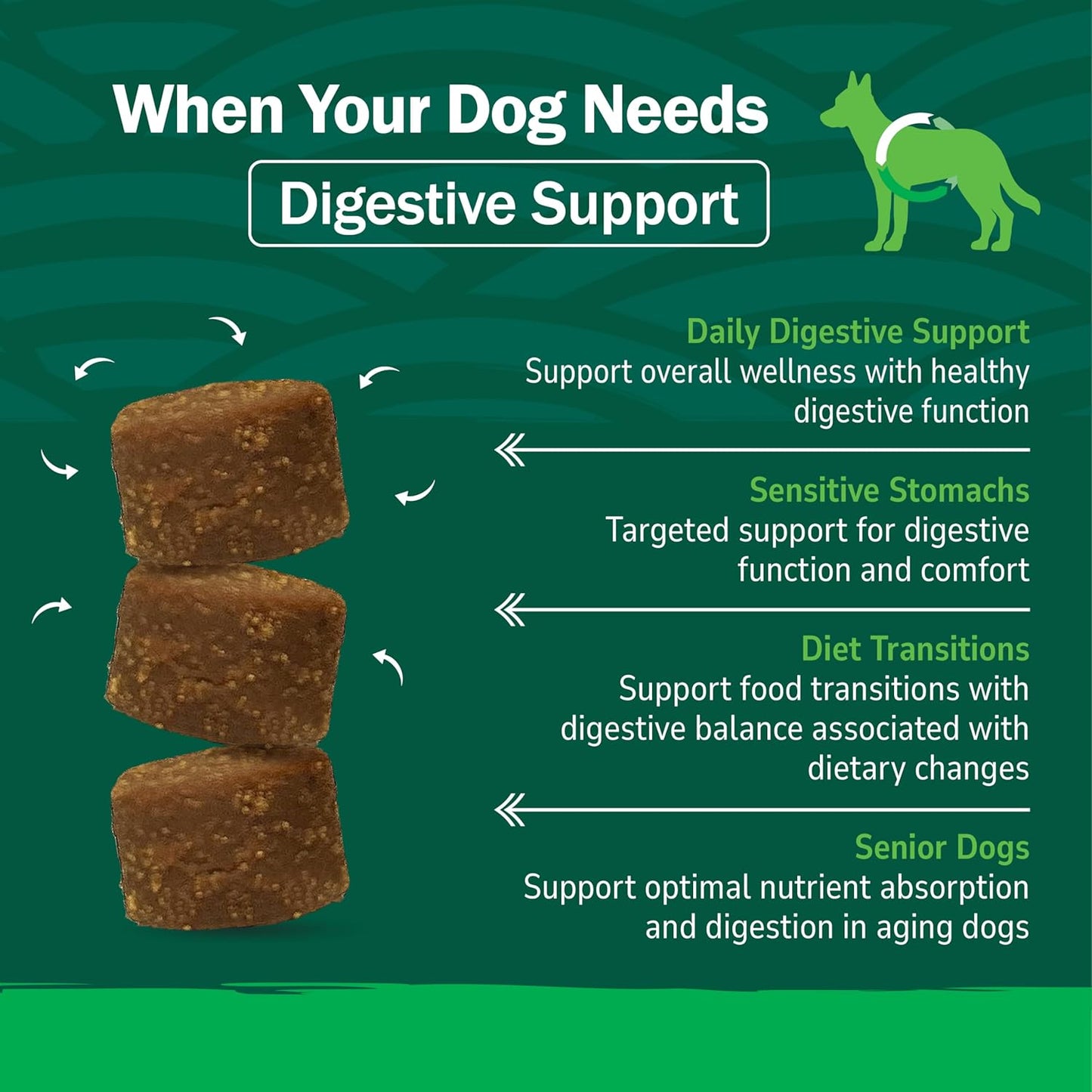 PetNC Natural Care daily digestive support soft chews for all dog breeds.