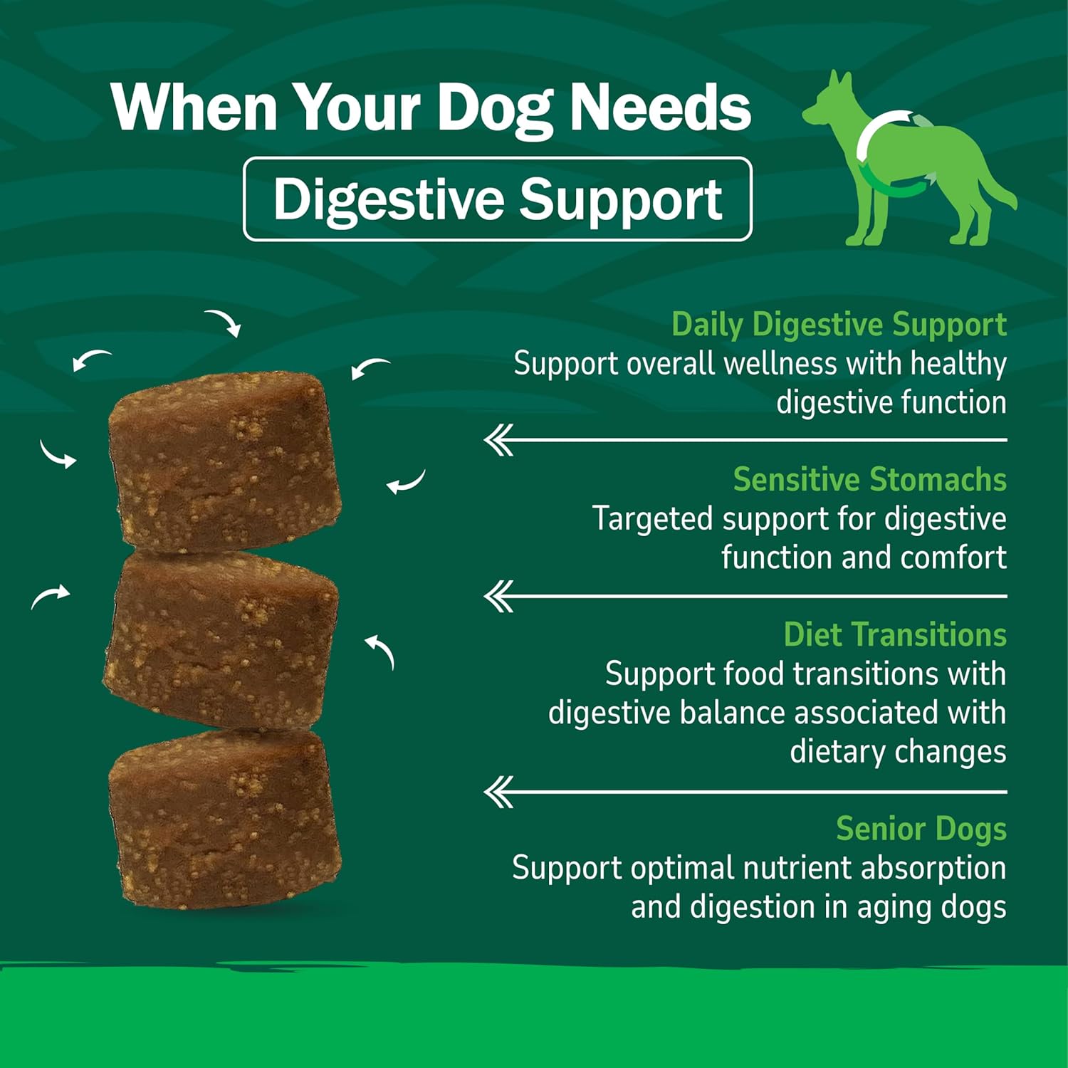 PetNC Natural Care daily digestive support soft chews for all dog breeds.