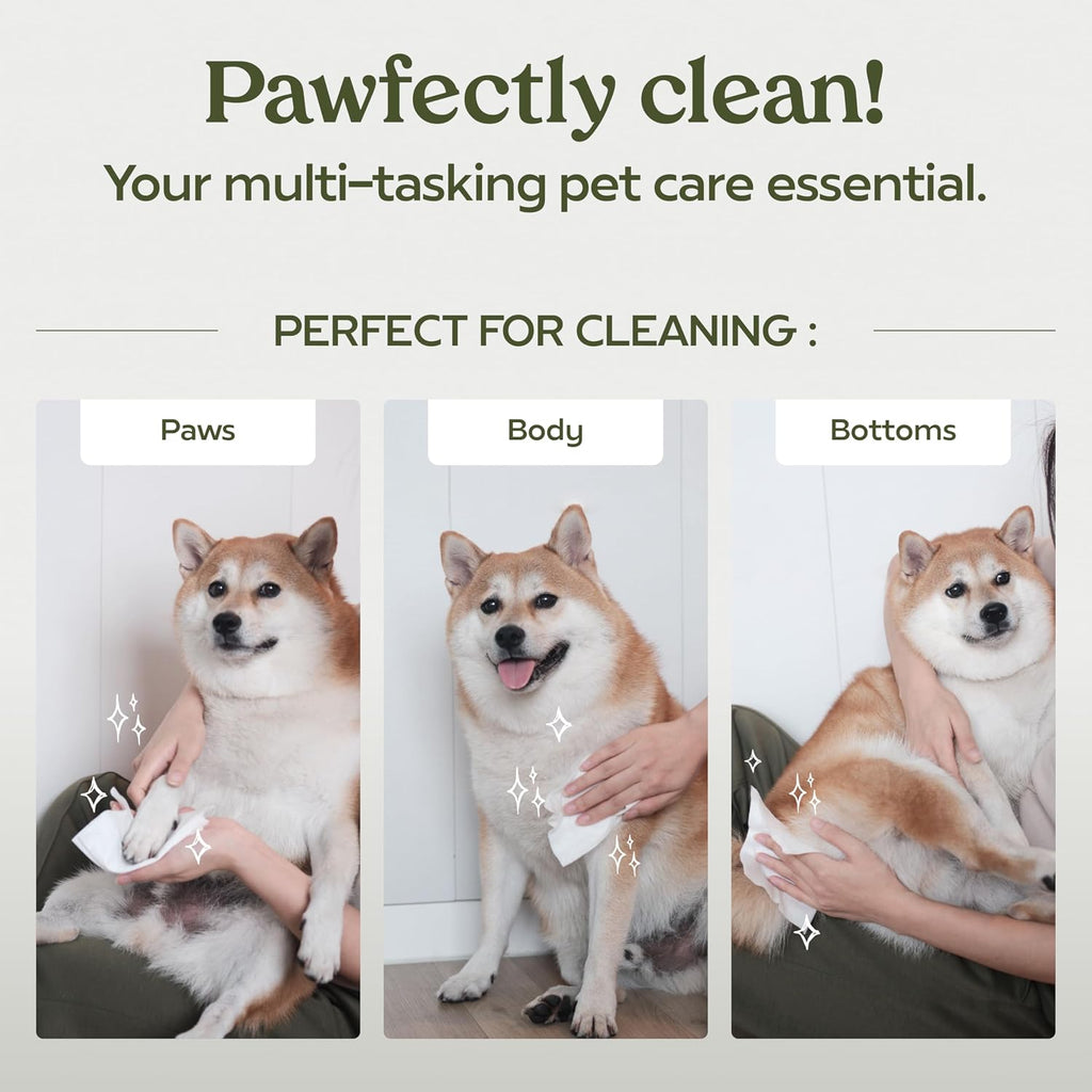 Premium USA imported dog grooming wipes for sensitive skin.